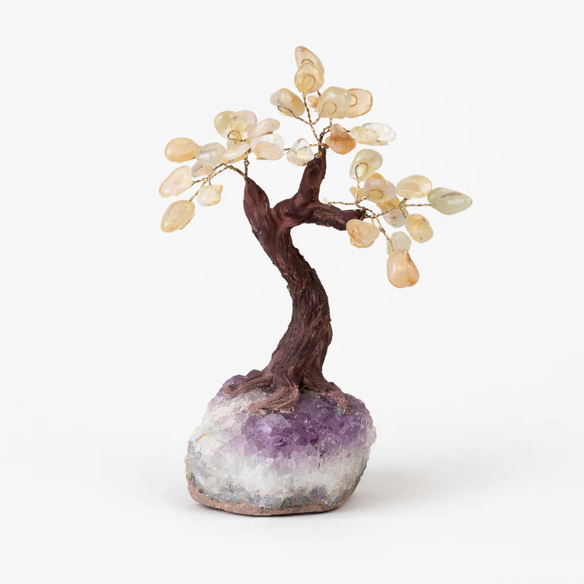 Citrine Tree with Amethyst Geode Base